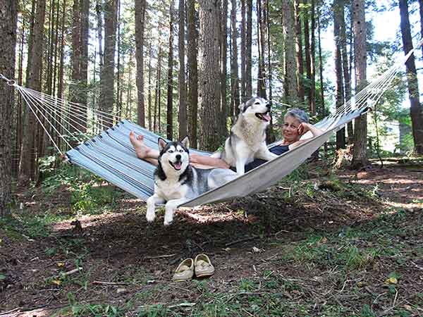 Laying in a hammock with two dogs as company 