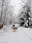 sledding on merkley road