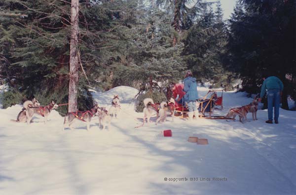 Sledding with friends.