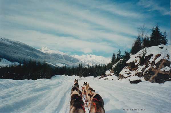 extew valley with the dogteam facing an x on the rock wall