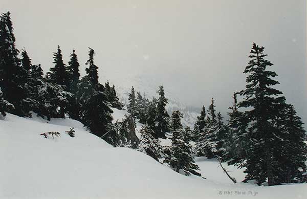 looking towards the blizzard coming